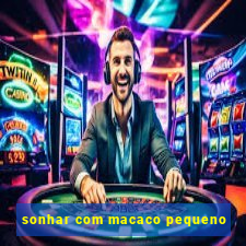 sonhar com macaco pequeno